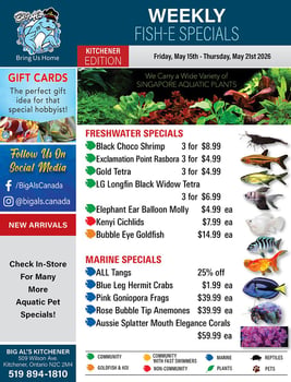 Big Al's - Kitchener - Weekly Flyer Specials