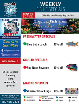 Big Al's - Edmonton - Weekly Flyer Specials