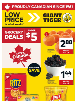 Giant Tiger - Ontario - Weekly Flyer Specials