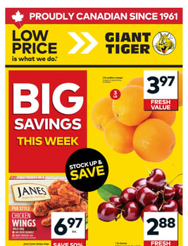Giant Tiger - Atlantic Canada - Weekly Flyer Specials