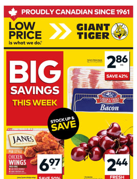 Giant Tiger - Ontario - Weekly Flyer Specials