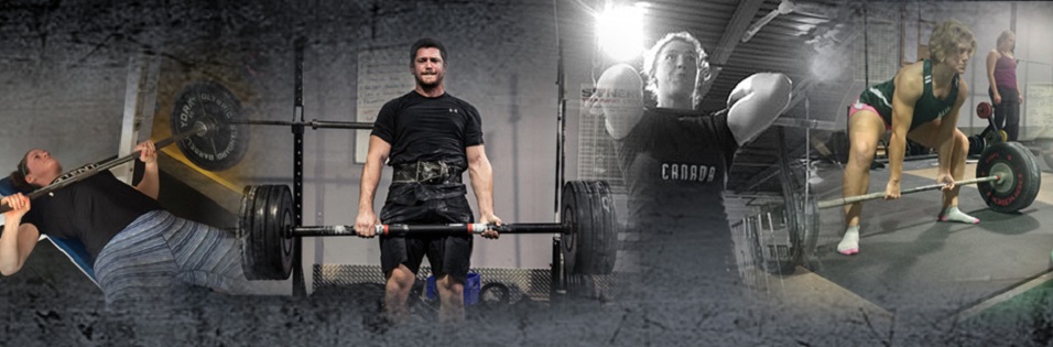 Synergy Training Center Online