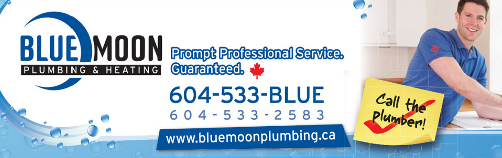 Blue Moon Plumbing Online