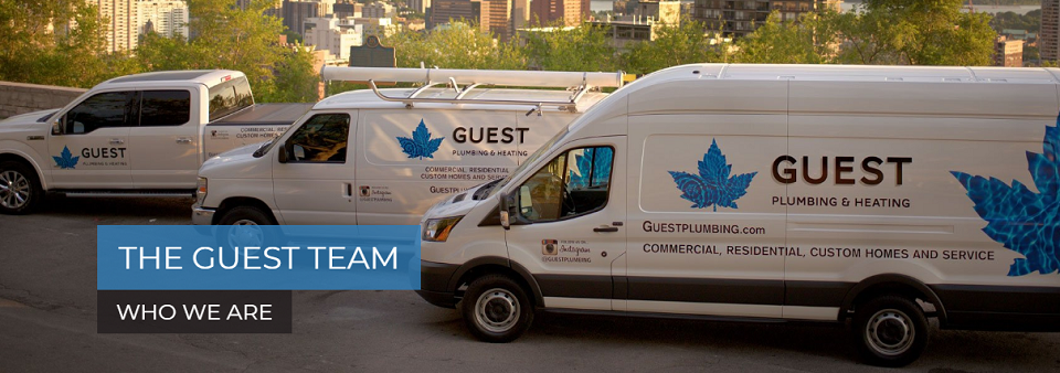 Guest Plumbing Online