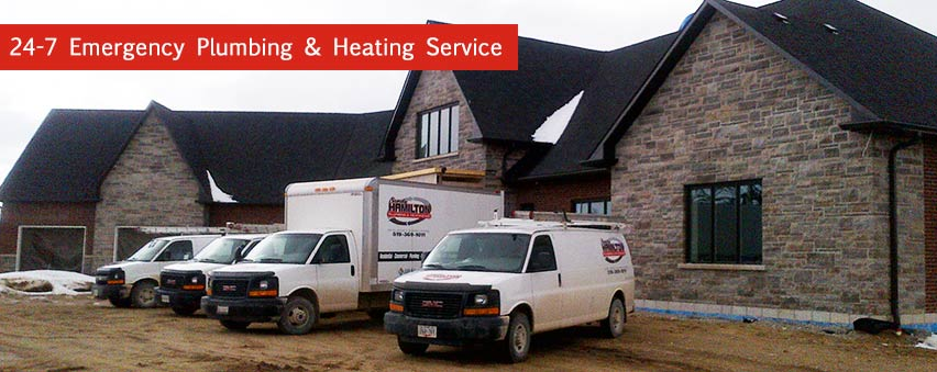 Sandy Hamilton Online