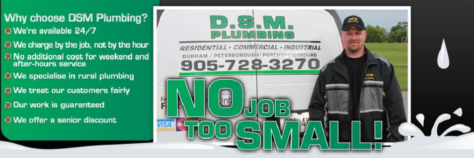 DSM Plumbing Online