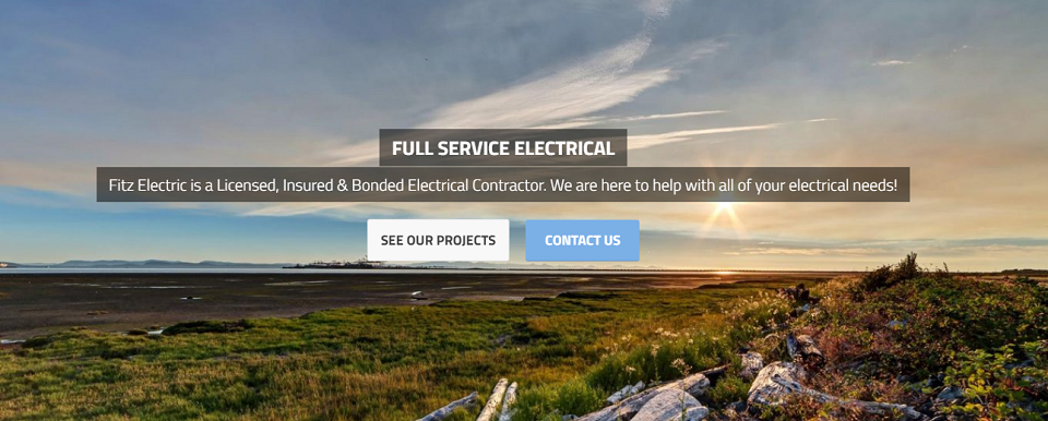 Fitz Electric Online