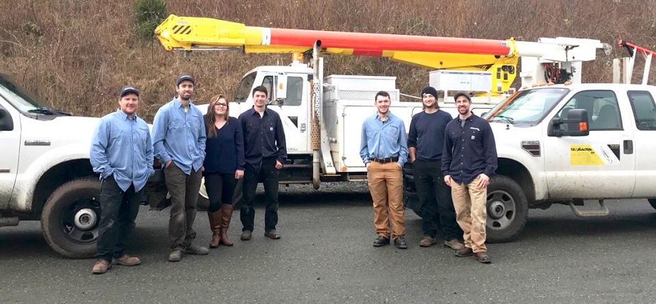 Tex Electric LTD Online