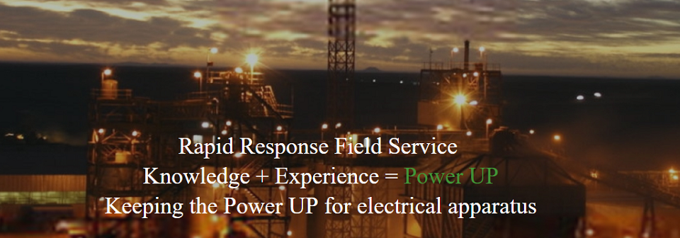 Wismer & Rawlings Electric Ltd Online