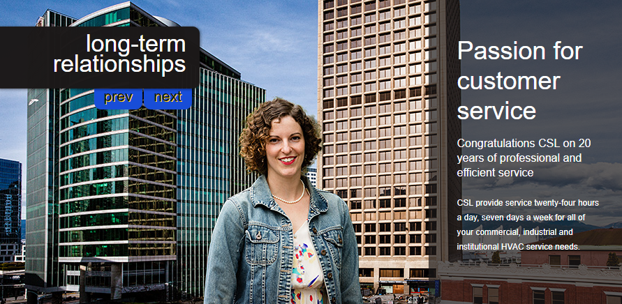 Control Solutions Online