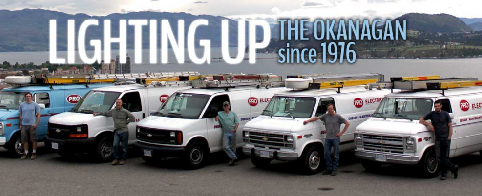 Pro Electric ltd Online