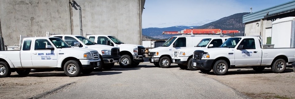 Betts Electric Ltd Online