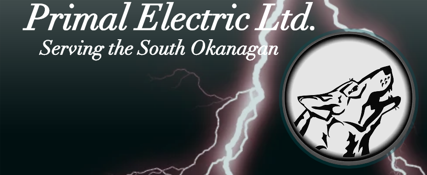 Primal Electric Online