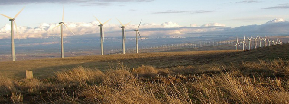 Riteline Electric Online