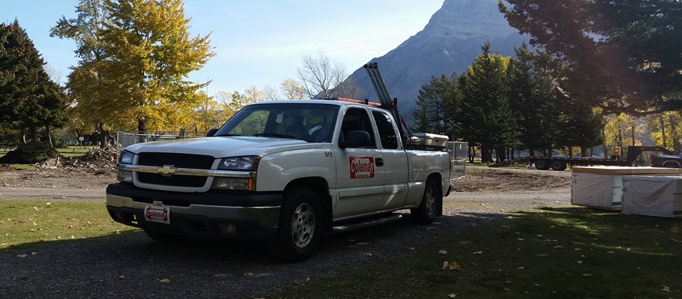 Coleman Electric Ltd. Online