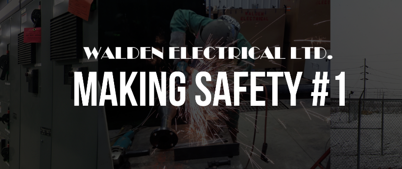 Walden Electrical Online