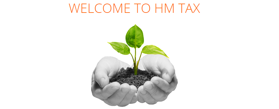 HM Tax Online