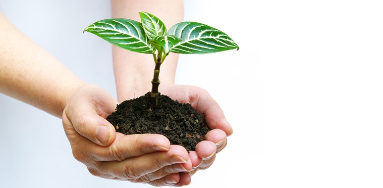 Song & Ho Group Online