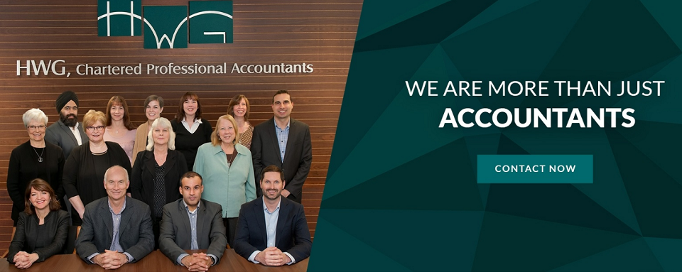 HWG Chartered Professional Accountants Online