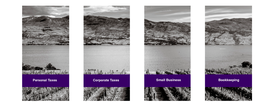 Aries Accounting Online