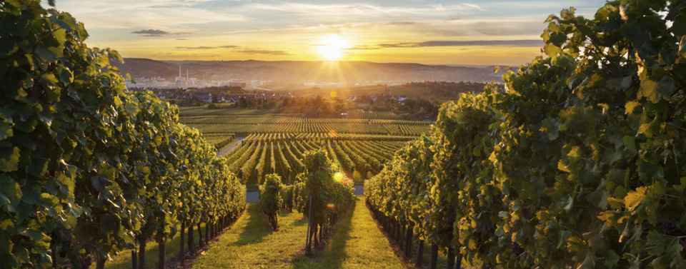 Houghton & Co Online