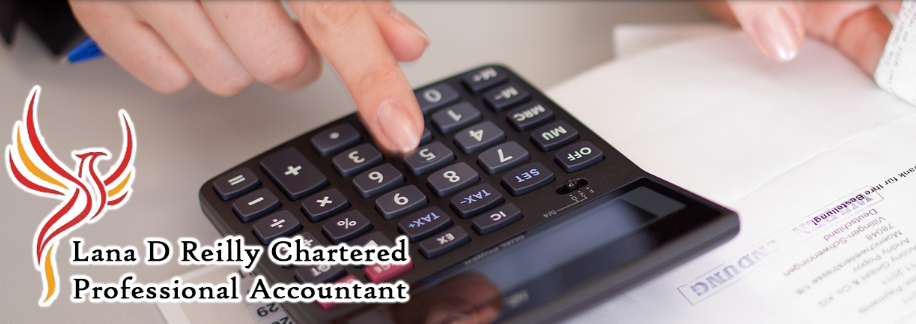 Lana D Reilly CPA & R.J. McLeod Consulting Online