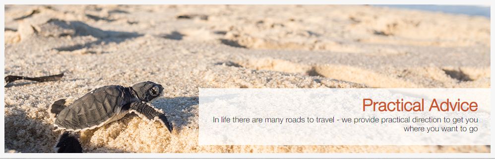 Michael Kostrich CPA Online