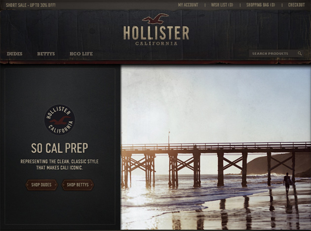 hollister online