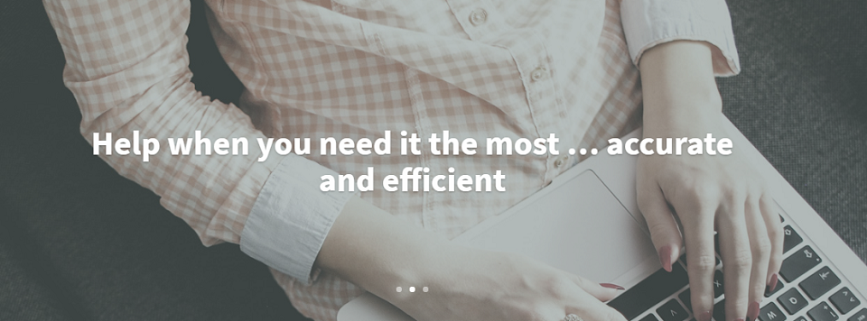 MSH Accounting Online