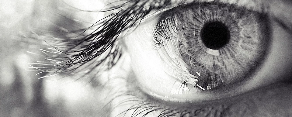 DR. Vernon Prentice Online