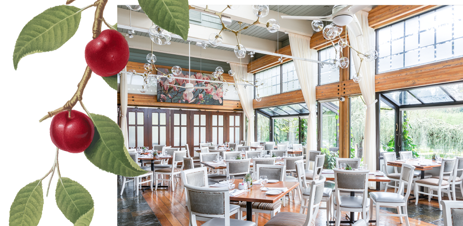 Shaughnessy Restaurant Online