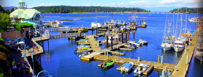 Troller's Fish & Chips Online