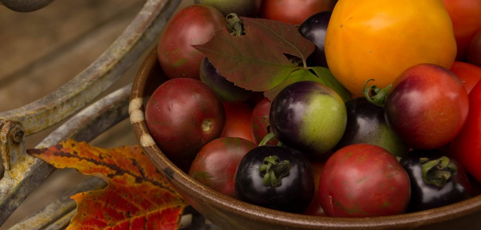 The Garden's Gate Restaurant Online