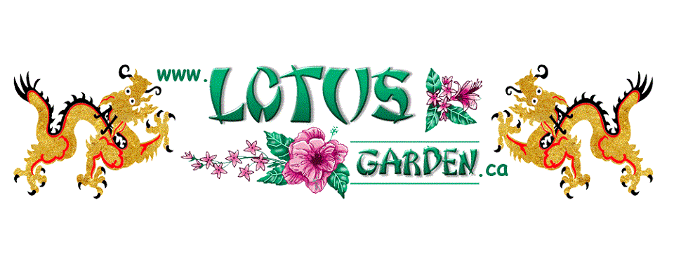 Lotus Garden Online