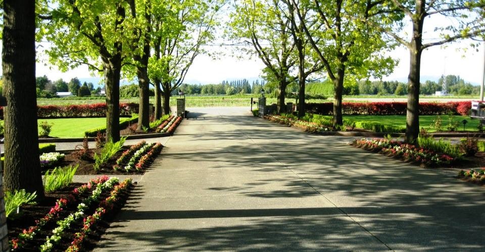 Beaver Landscape Ltd. Online