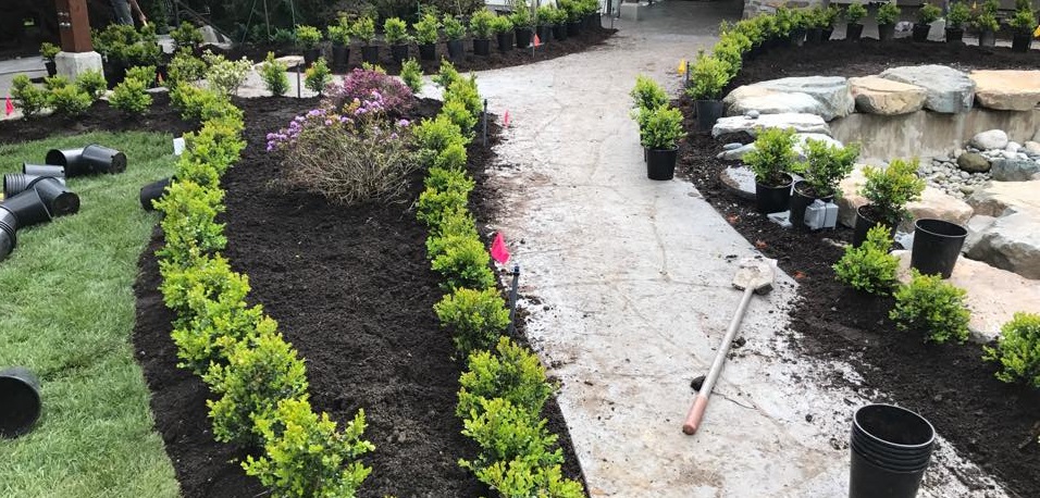 BNK Landscaping Ltd Online
