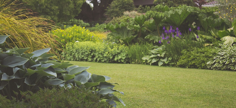 Meadows Landscape Supply Ltd. Online