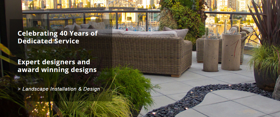 Para Space Inc Online