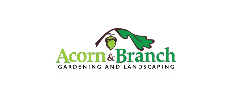Acorn And Branch Online