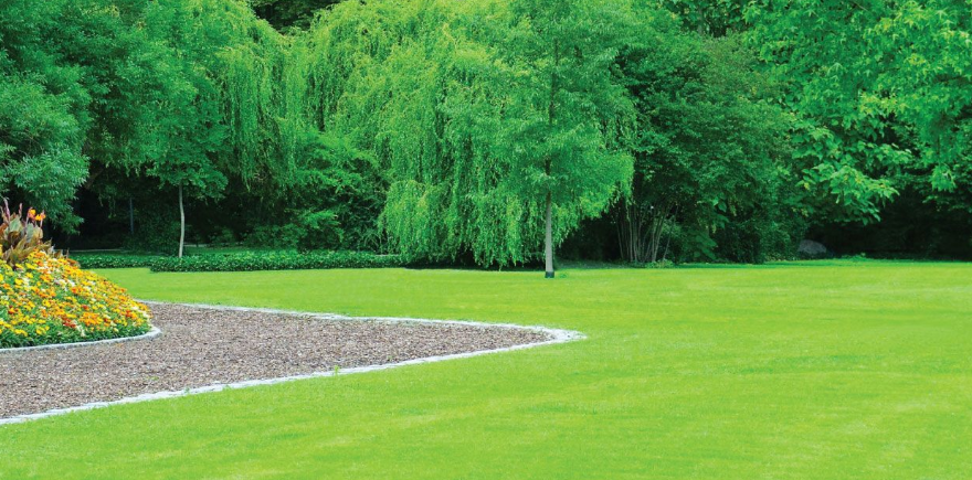 Saanich Landscaping Online