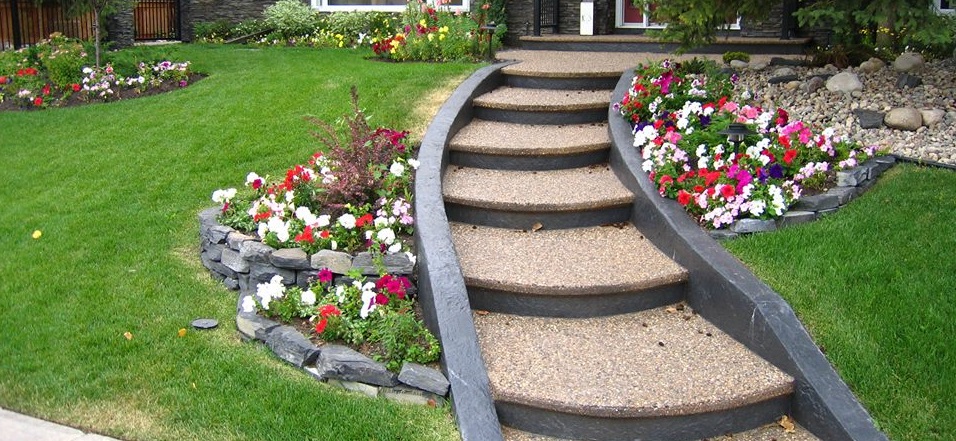 Larix Landscape Online