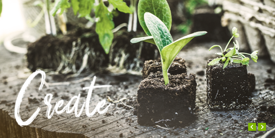 The Garden Shop Online