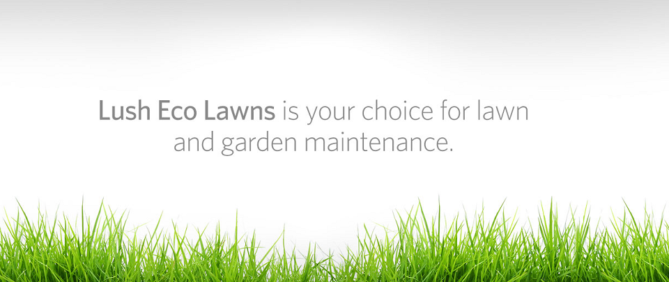 Lush Eco Lawns Online