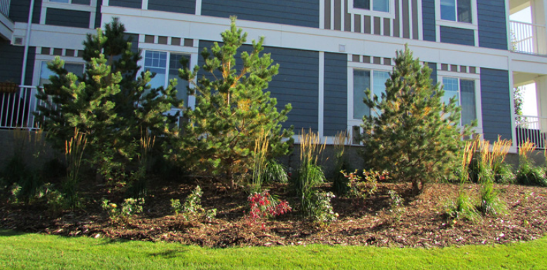 Saunders Landscaping Online