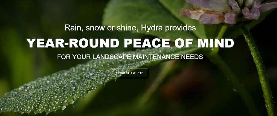 Hydra Landscaping Online