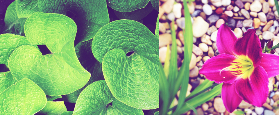 Heninger Landscaping Online