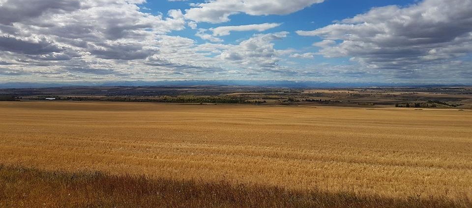 MAK Landscaping Ltd. Online