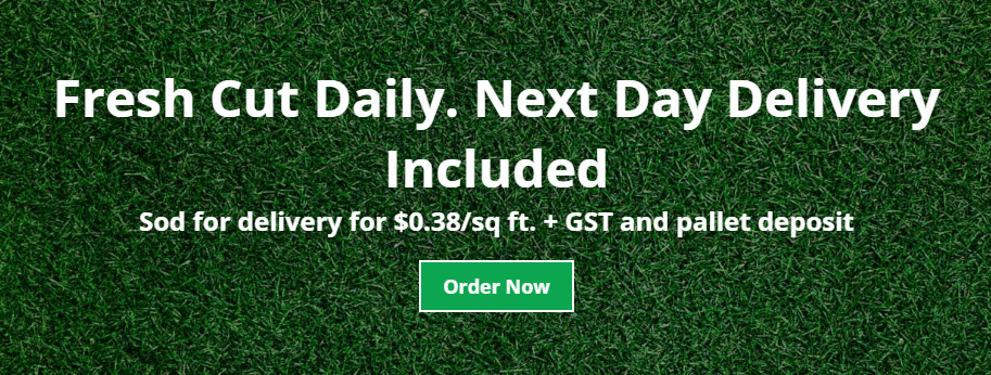 Scott's Sod Sales & Installation Inc. Online