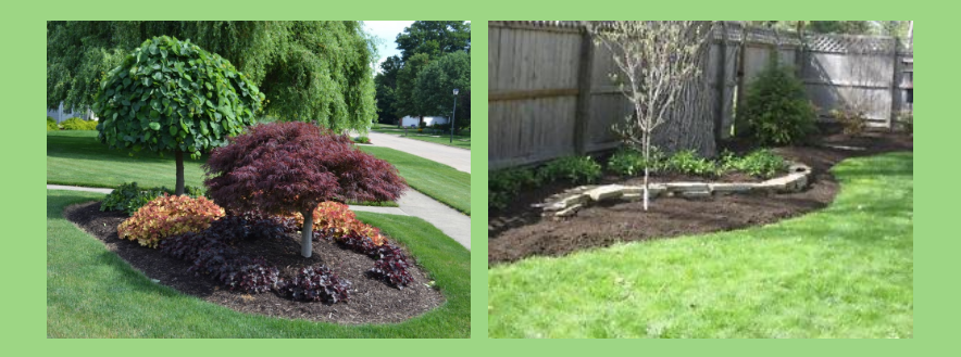 Bailey Landscaping Online