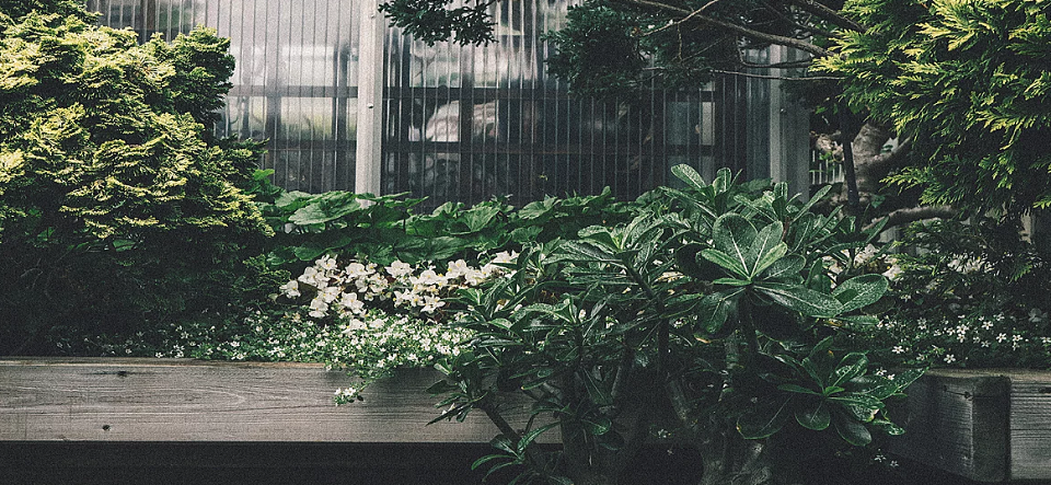 Monville Landscaping Online